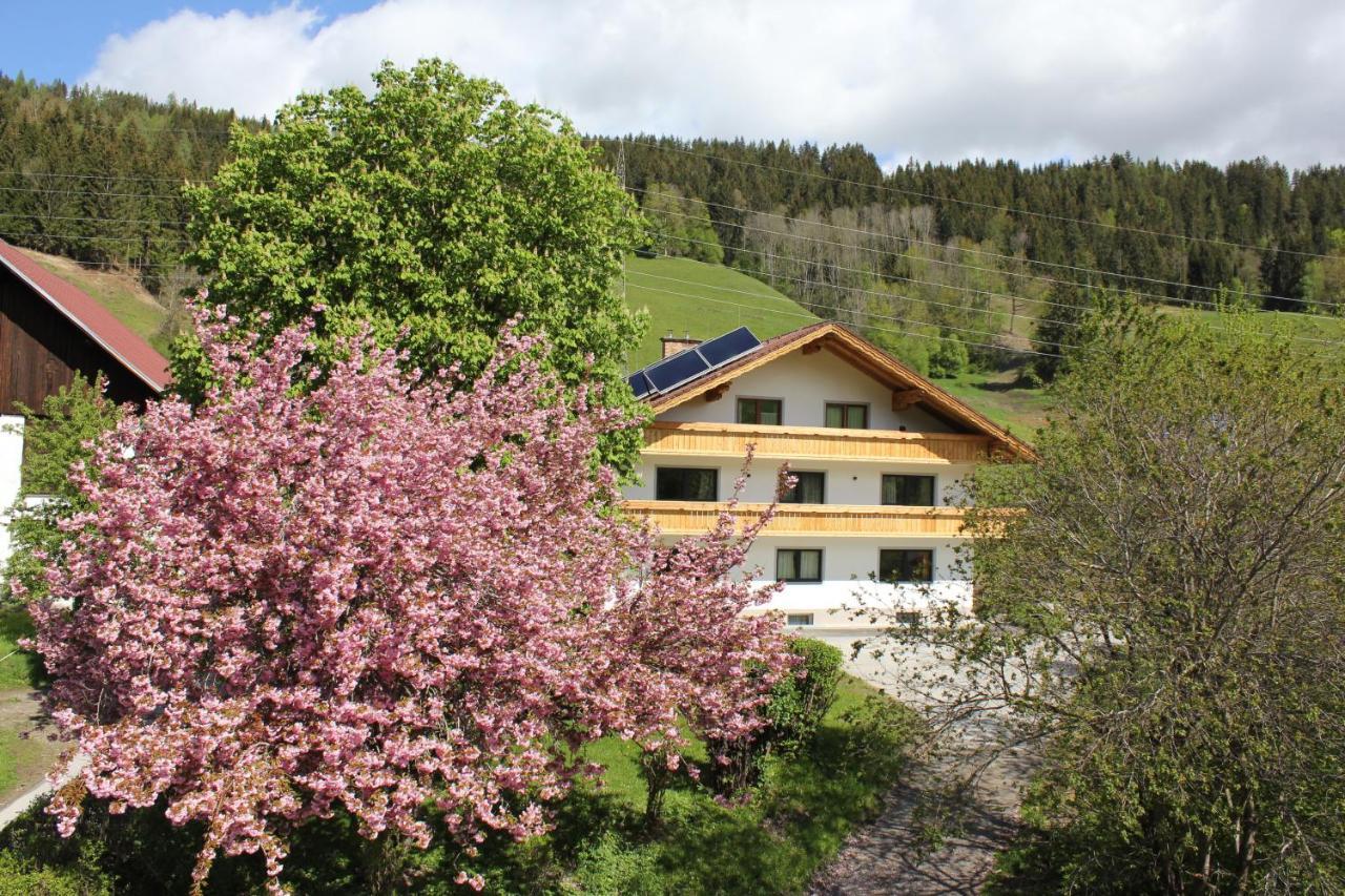 Eiblhof Apartment Schladming Luaran gambar