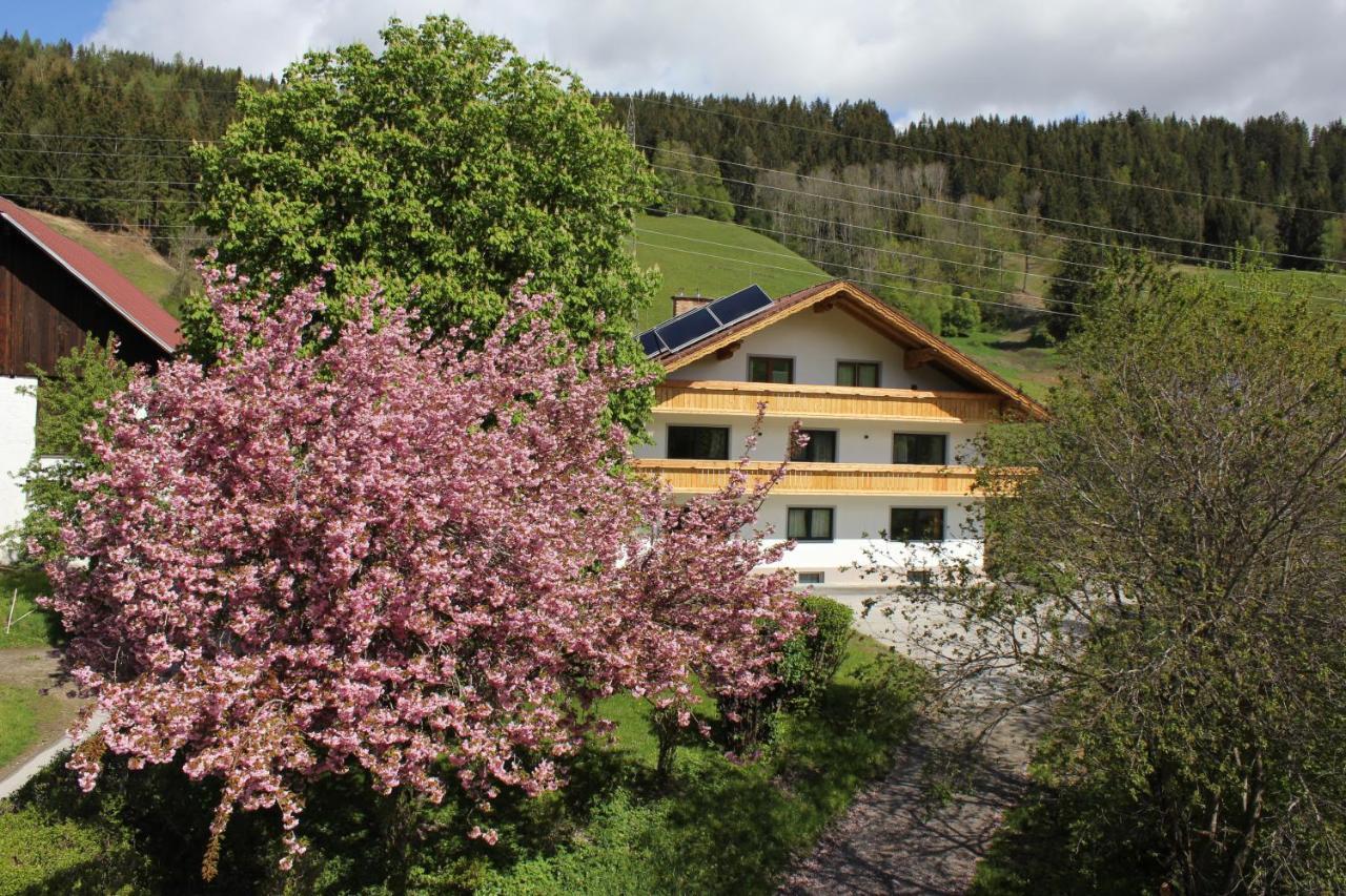 Eiblhof Apartment Schladming Luaran gambar